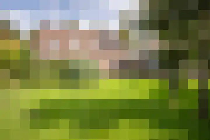 Javadijk 40 Sint-Annaland thumbnail 5