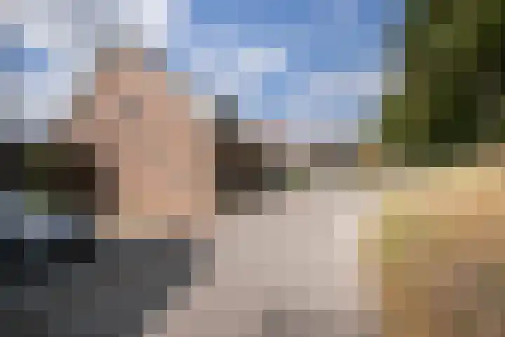 Javadijk 40 Sint-Annaland thumbnail 6