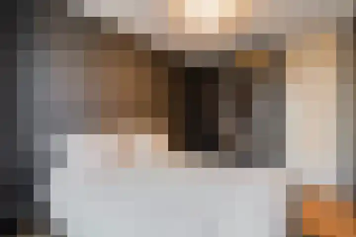 Javakade 174 Amsterdam thumbnail 19
