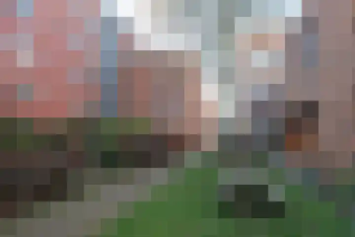 Javakade 182 Amsterdam thumbnail 21