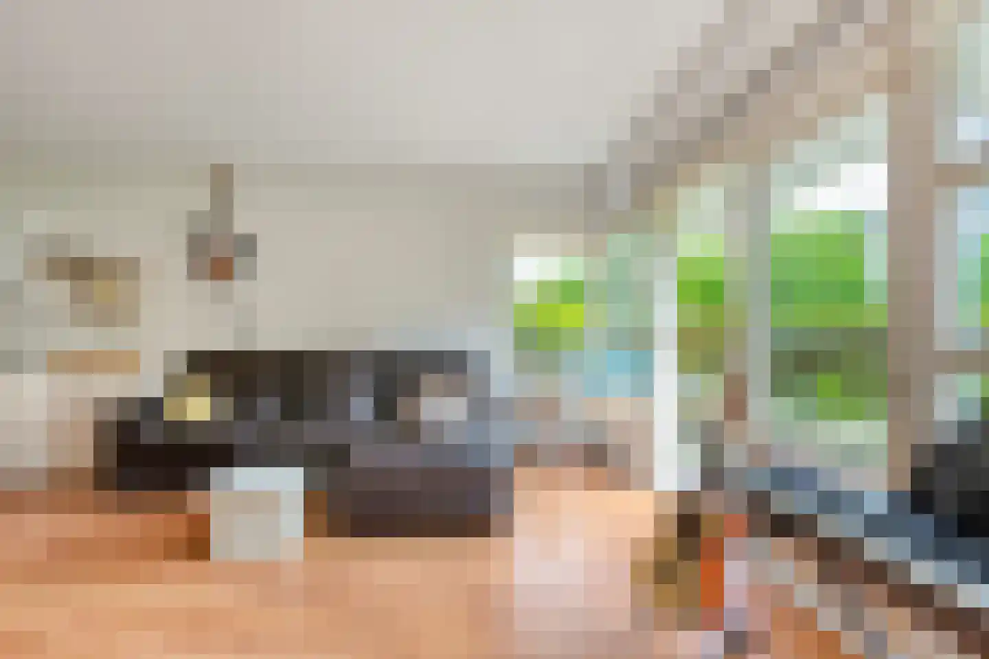 Javakade 38 Amsterdam thumbnail 6