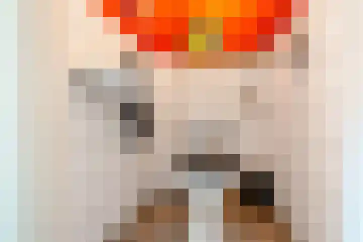 Javalaan 10 Groningen thumbnail 19