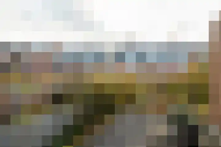 Javalaan 10 Groningen thumbnail 25