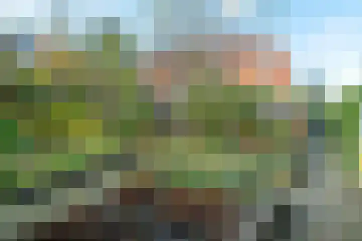 Javalaan 10 Groningen thumbnail 4