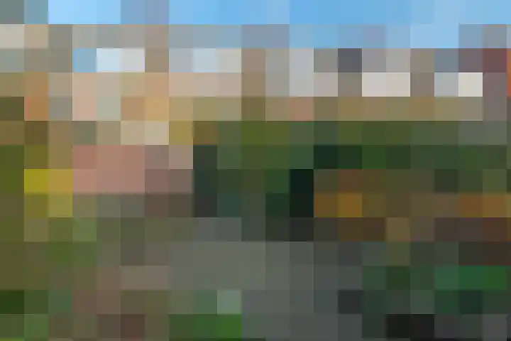 Javalaan 10 Groningen thumbnail 5