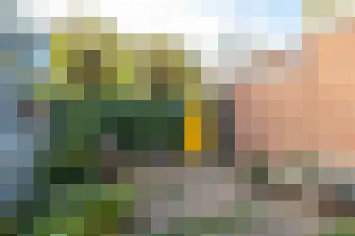 Javalaan 10 Groningen thumbnail 6