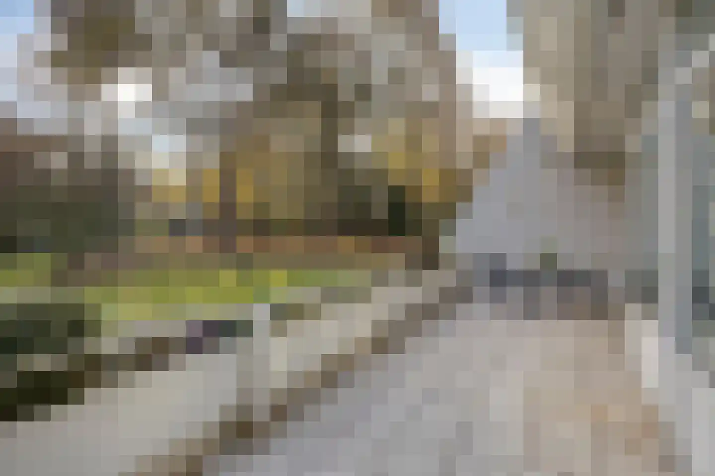 Javalaan 109 Eindhoven thumbnail 37