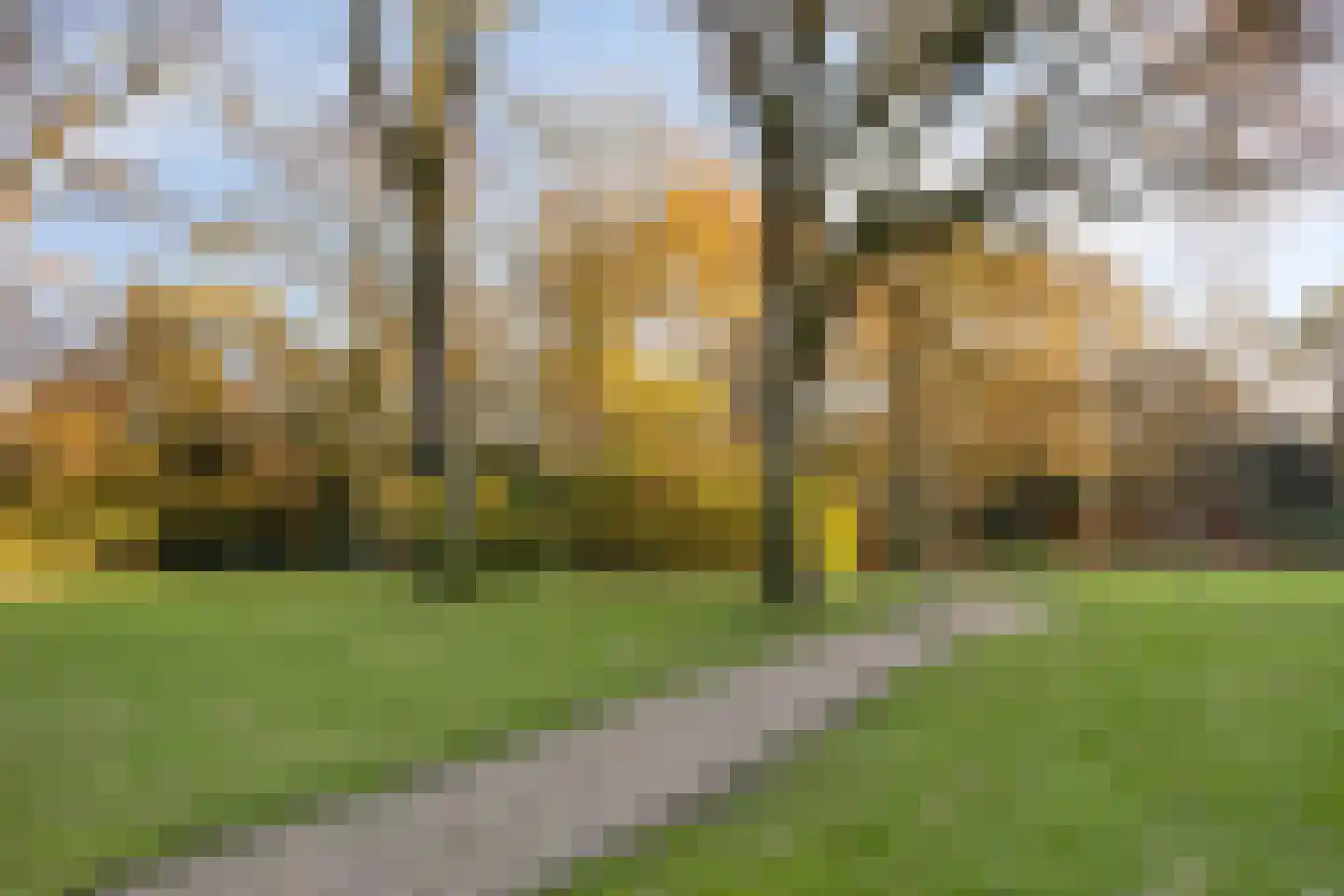 Javalaan 109 Eindhoven thumbnail 71