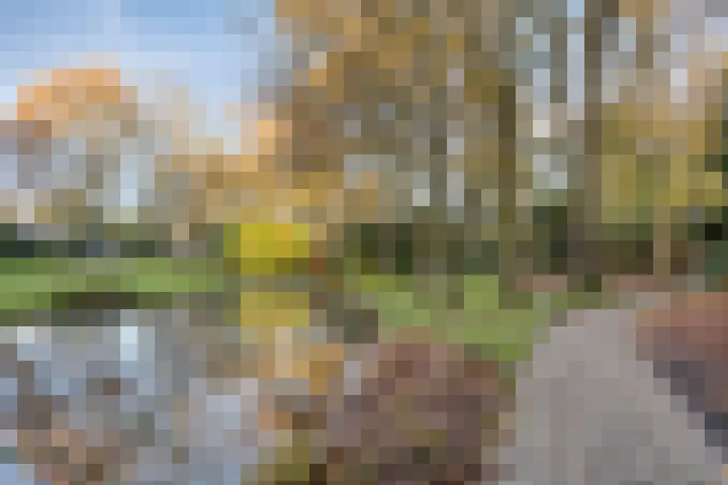Javalaan 109 Eindhoven thumbnail 72