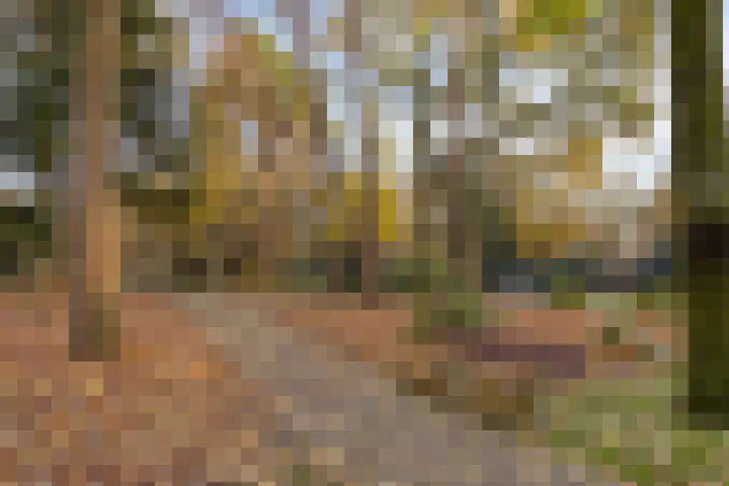 Javalaan 109 Eindhoven thumbnail 76