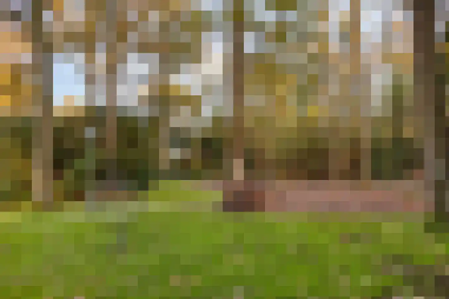 Javalaan 109 Eindhoven thumbnail 78
