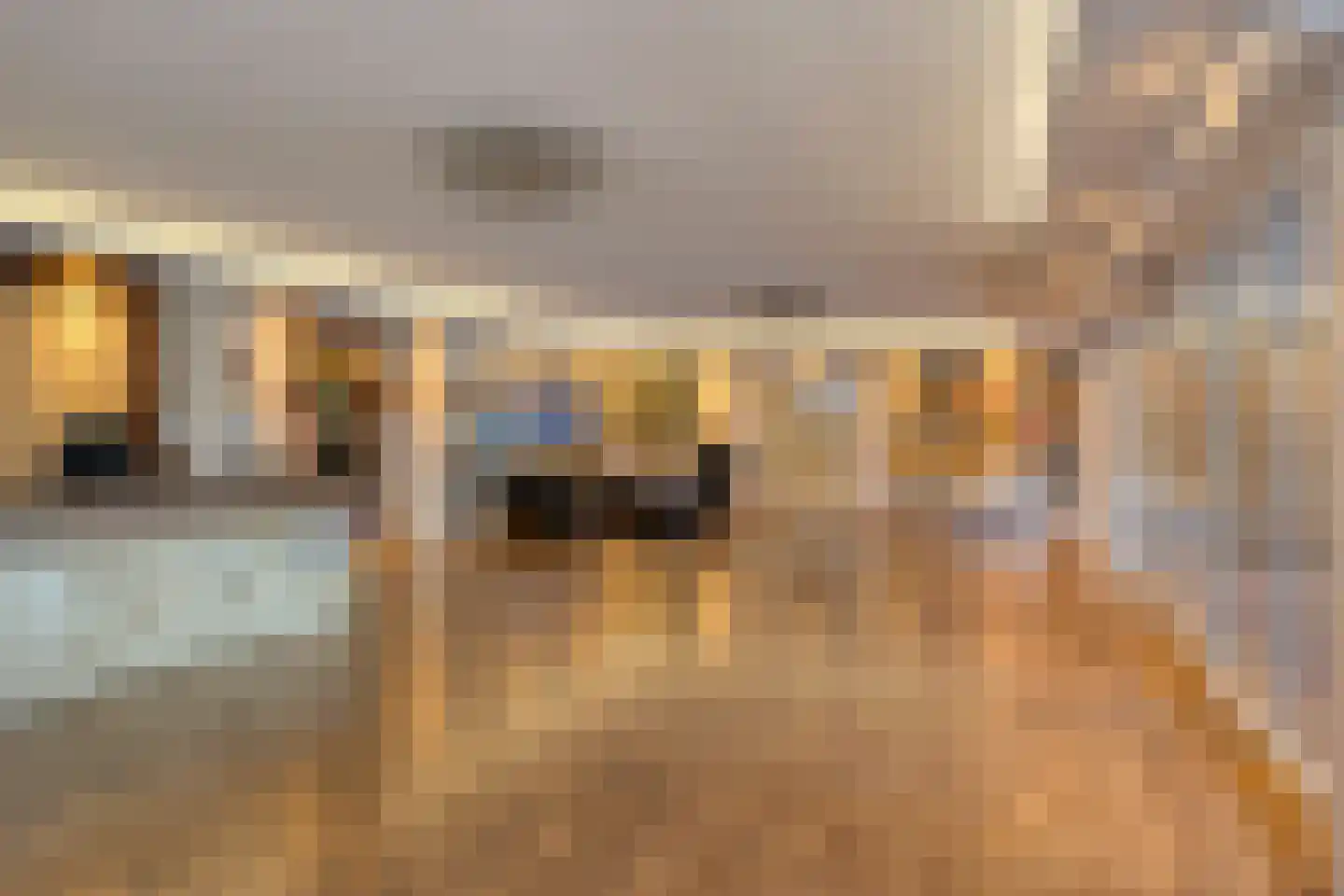 Javalaan 109 Eindhoven thumbnail 8