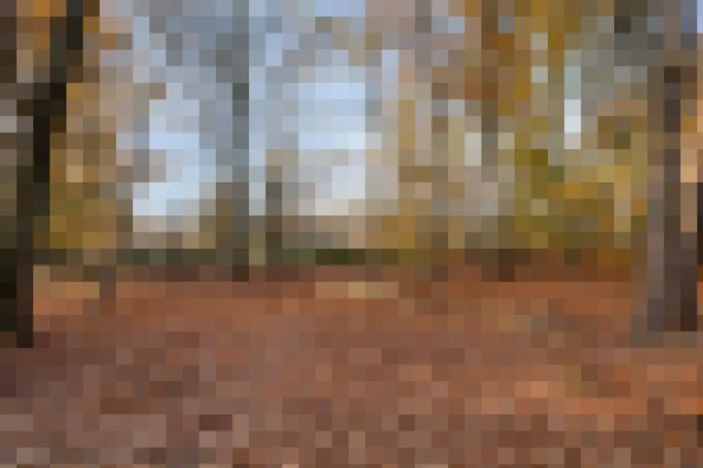 Javalaan 109 Eindhoven thumbnail 80