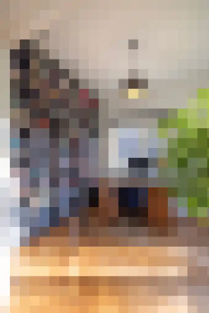 Javalaan 11 Hilversum thumbnail 12