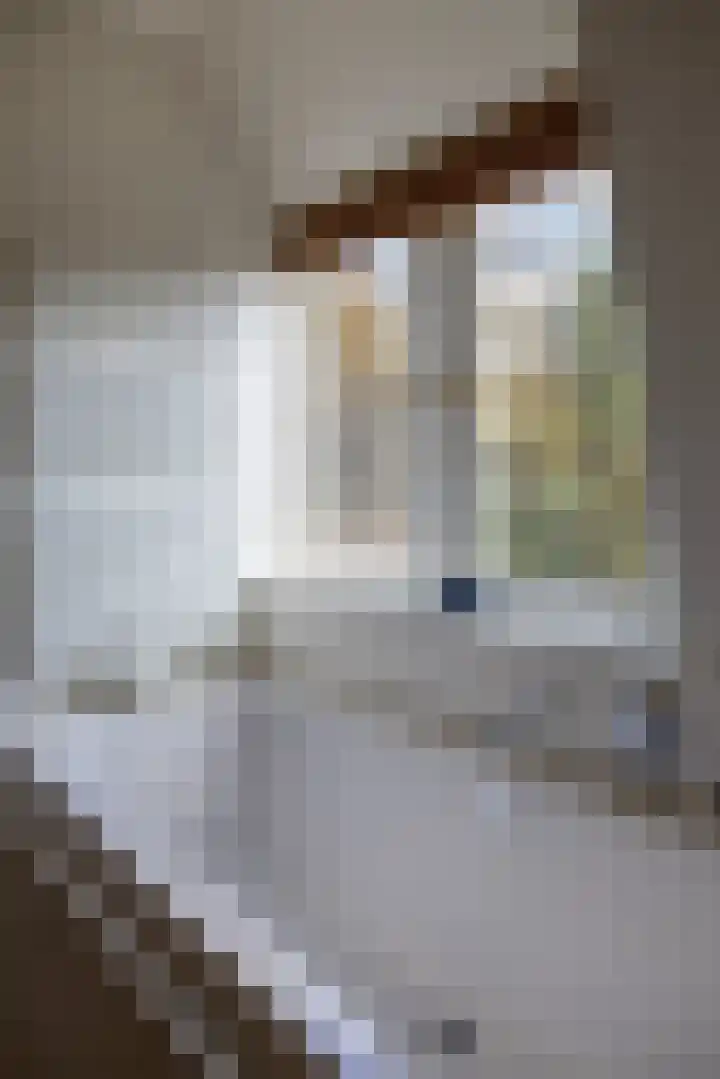 Javalaan 11 Hilversum thumbnail 29