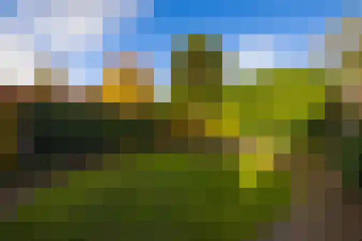 Javalaan 11 Hilversum thumbnail 39