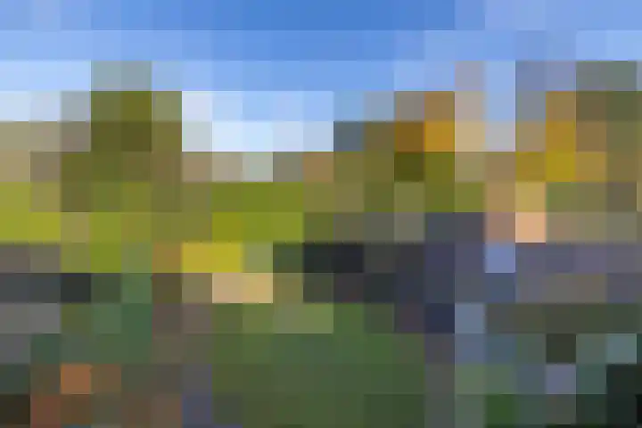 Javalaan 11 Hilversum thumbnail 40