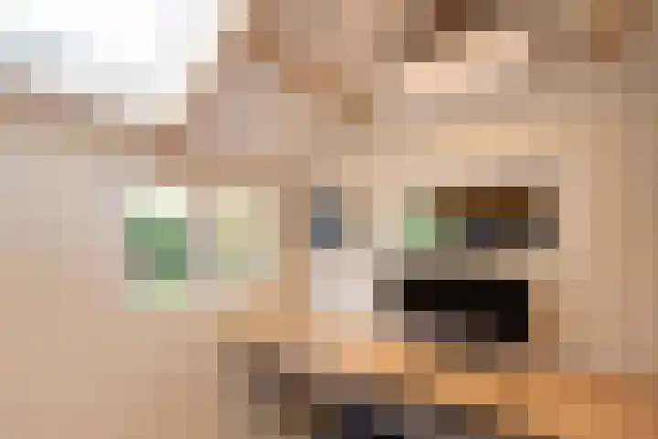 Javalaan 11 Hilversum thumbnail 42