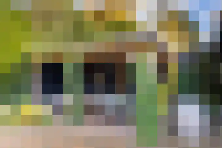 Javalaan 11 Hilversum thumbnail 44
