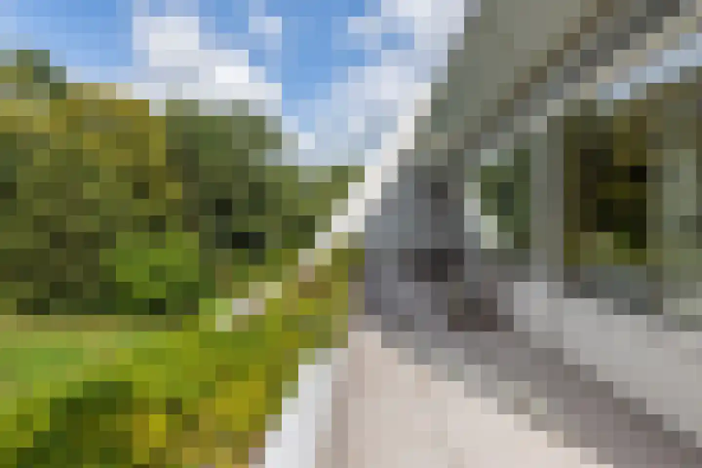 Javalaan 115 Eindhoven thumbnail 20