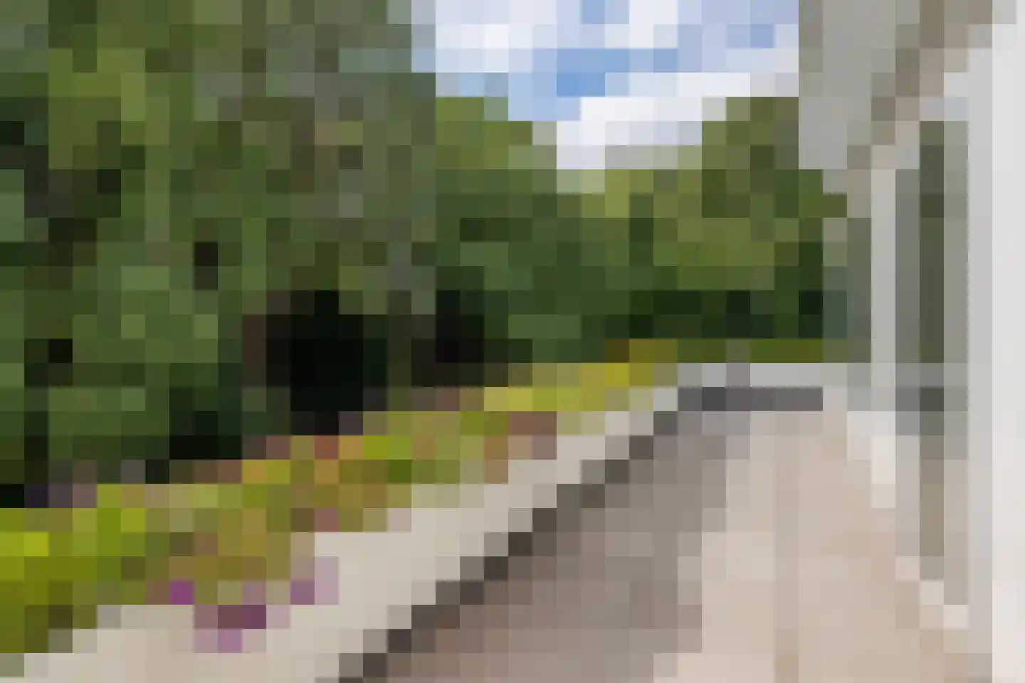 Javalaan 115 Eindhoven thumbnail 23