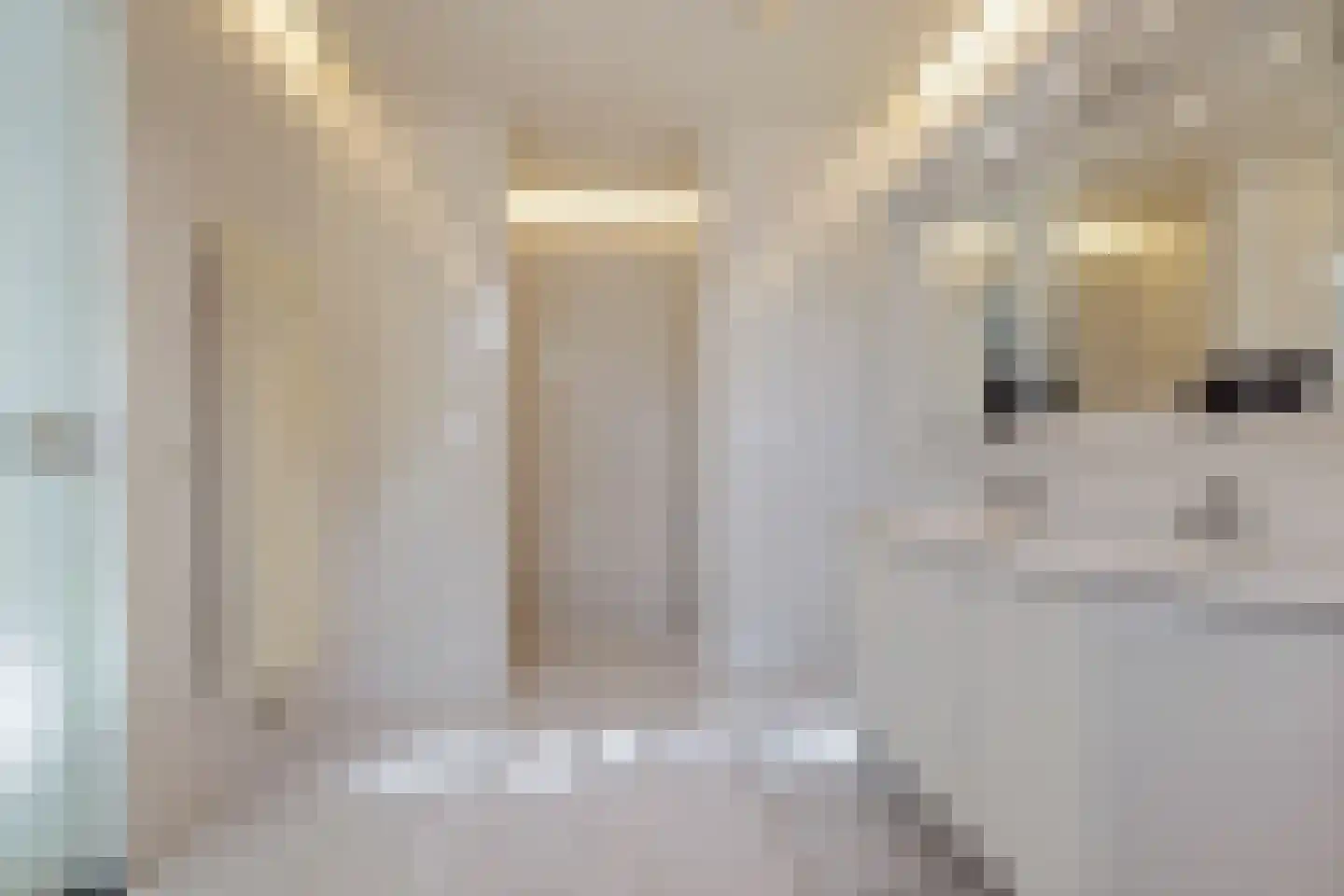 Javalaan 115 Eindhoven thumbnail 29