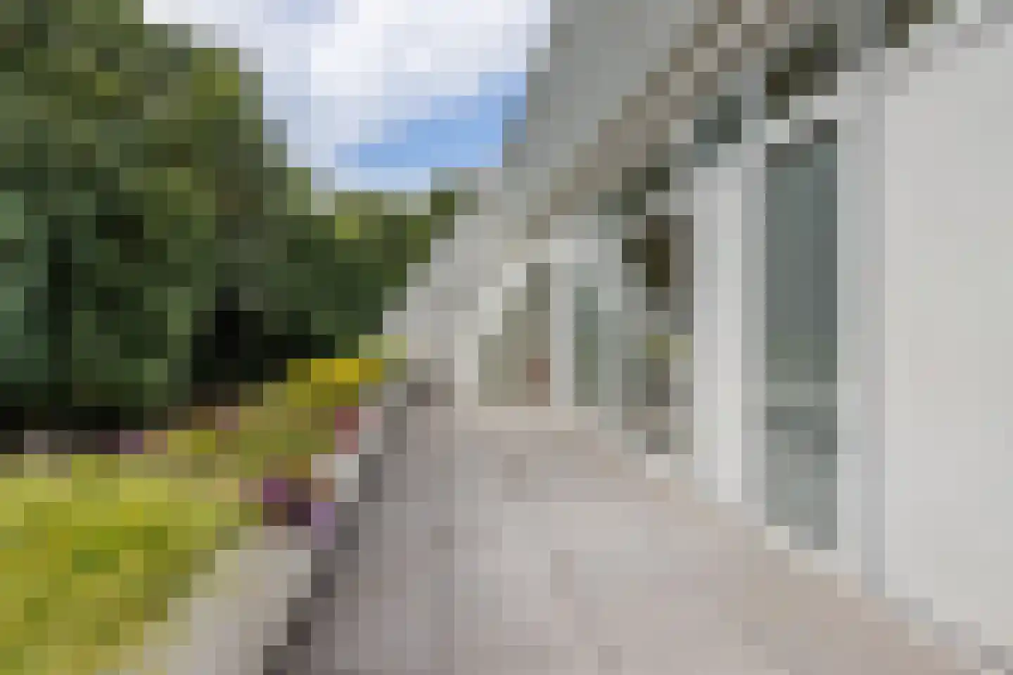 Javalaan 115 Eindhoven thumbnail 35