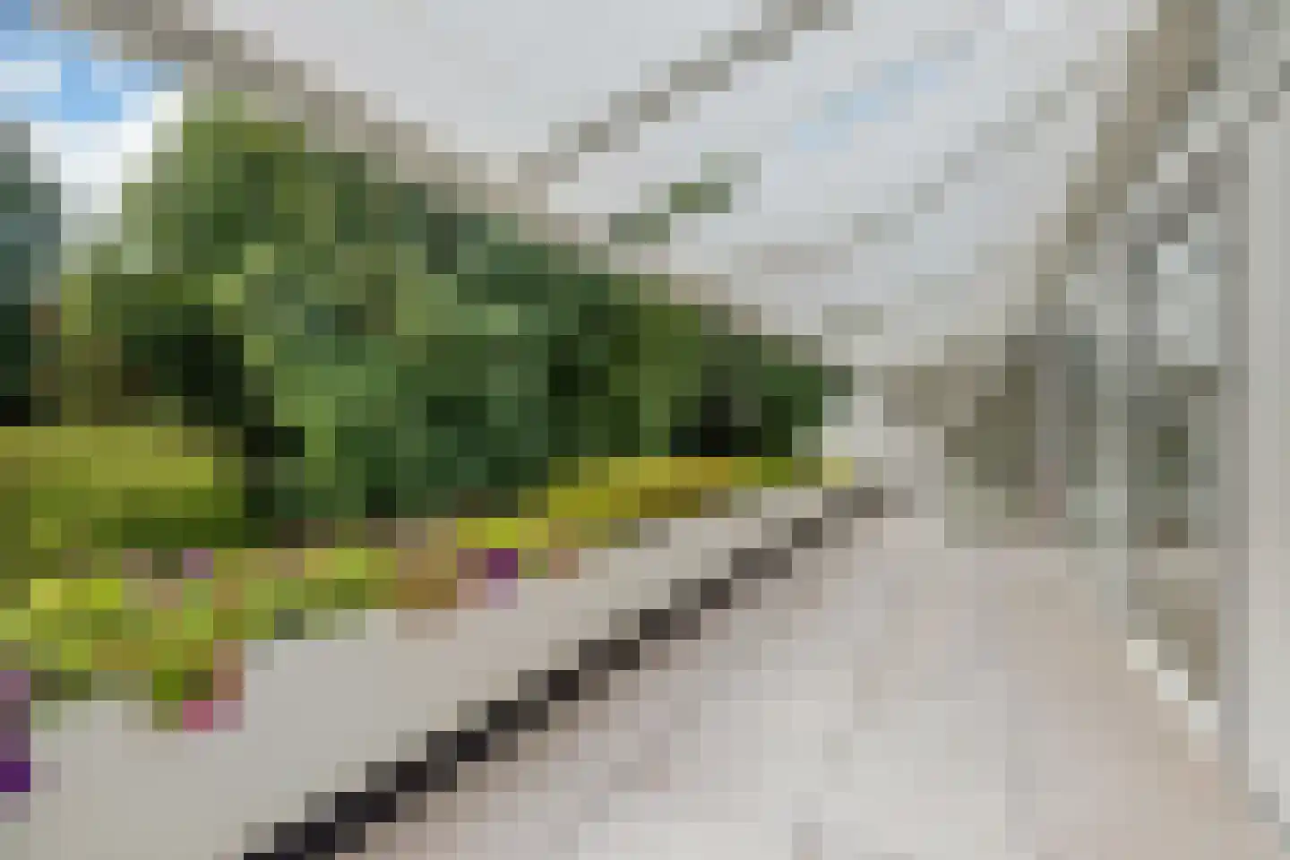 Javalaan 115 Eindhoven thumbnail 36
