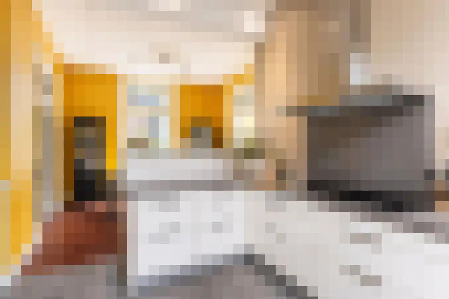 Javalaan 16 Apeldoorn thumbnail 11