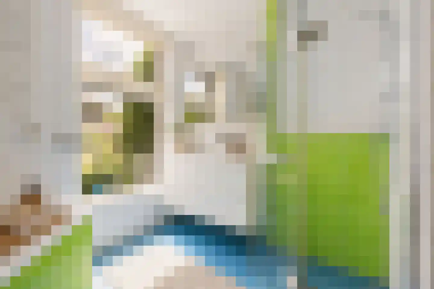 Javalaan 16 Apeldoorn thumbnail 29