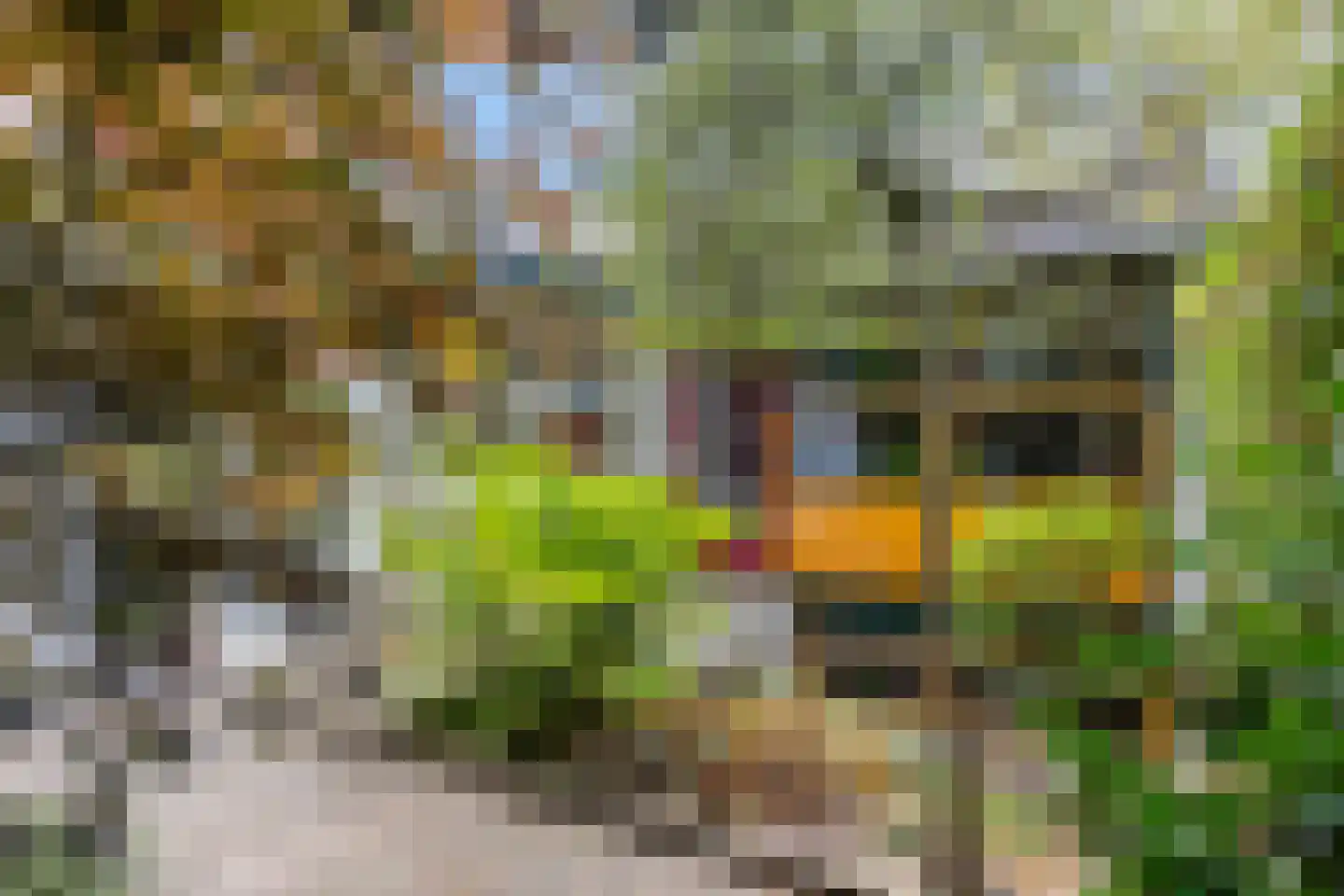 Javalaan 16 Apeldoorn thumbnail 38