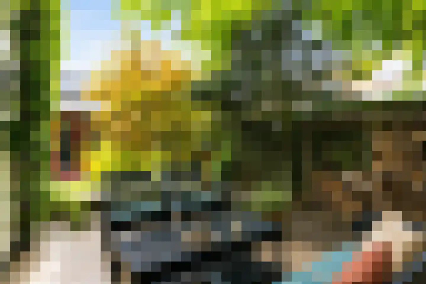 Javalaan 16 Apeldoorn thumbnail 39