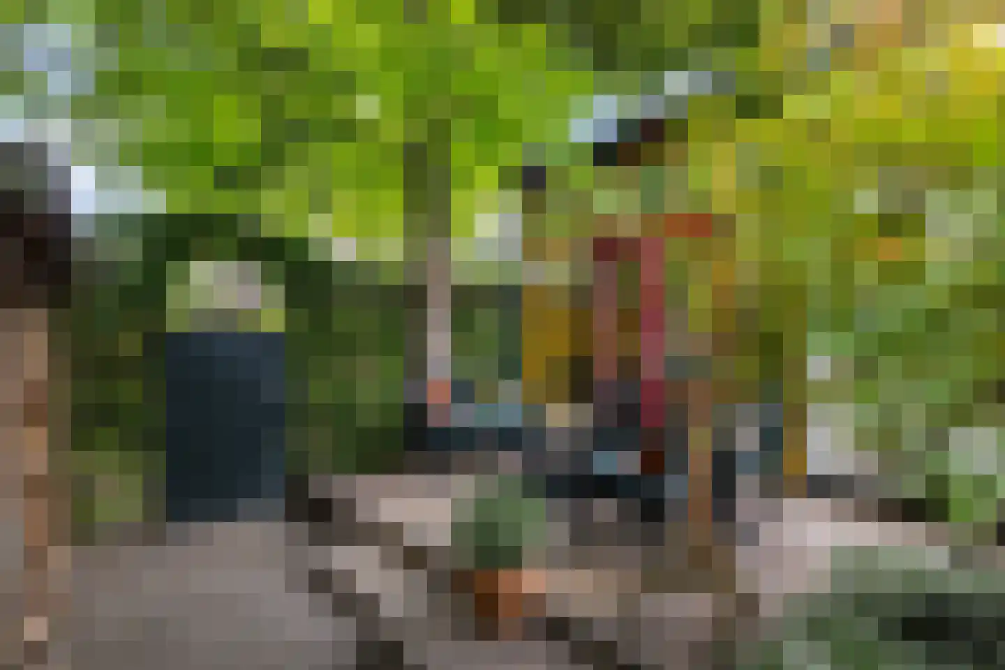 Javalaan 16 Apeldoorn thumbnail 41