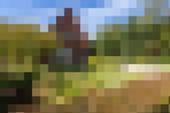 Javalaan 19 Heemstede thumbnail 20
