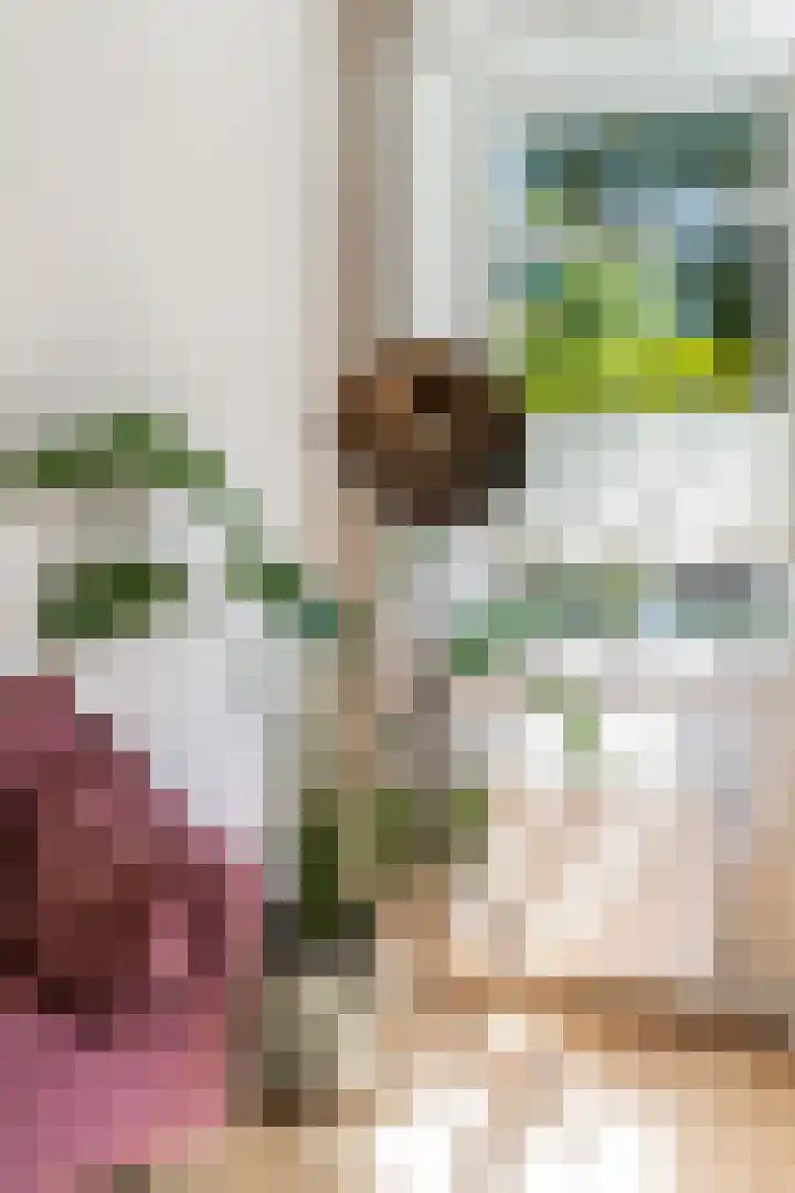 Javalaan 19 Heemstede thumbnail 6