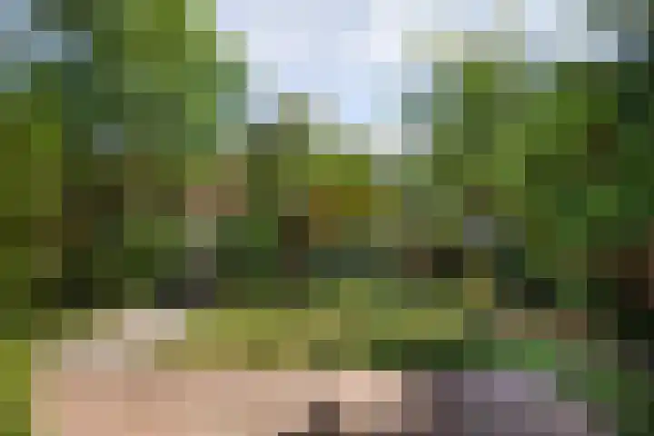 Javalaan 2 Heemstede thumbnail 15