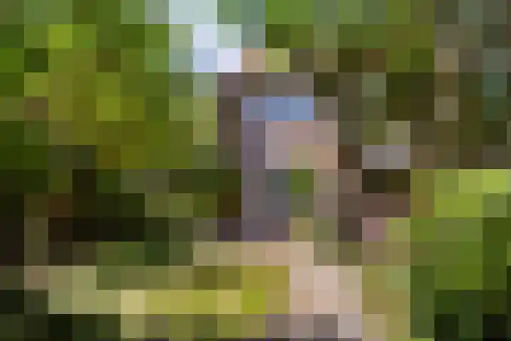 Javalaan 2 Heemstede thumbnail 16