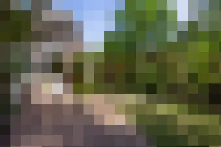 Javalaan 2 Heemstede thumbnail 17