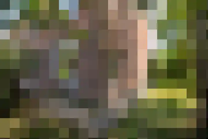 Javalaan 2 Heemstede thumbnail 18