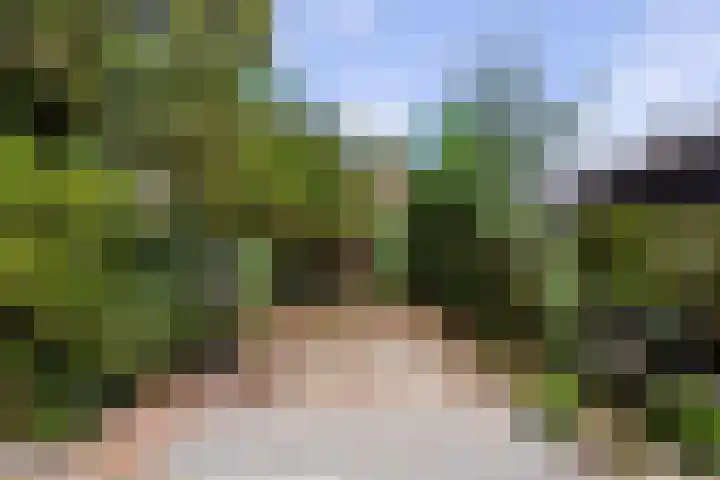 Javalaan 2 Heemstede thumbnail 19