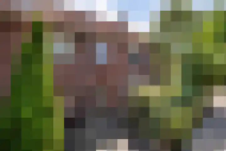 Javalaan 2 Heemstede thumbnail 21