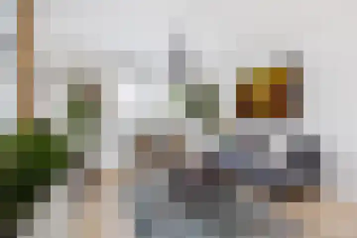 Javalaan 2 Heemstede thumbnail 4