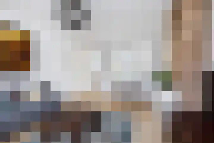 Javalaan 2 Heemstede thumbnail 6