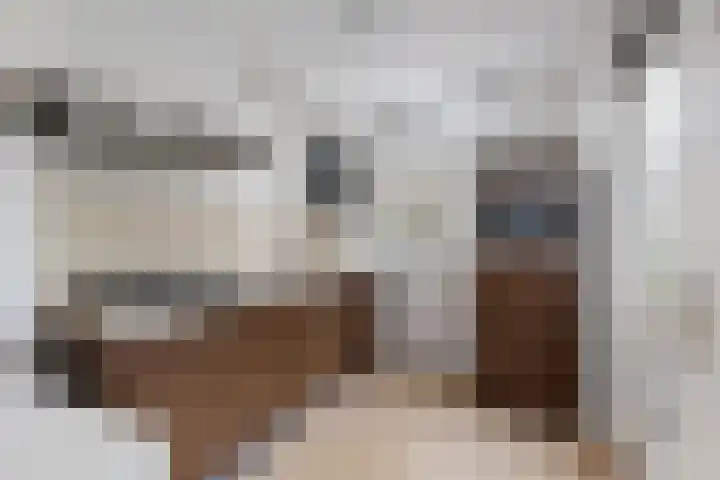 Javalaan 2 Heemstede thumbnail 8