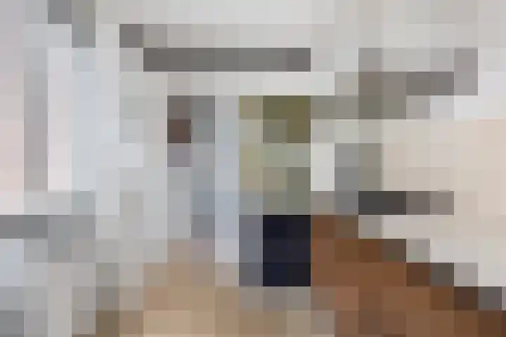 Javalaan 2 Heemstede thumbnail 9