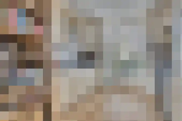 Javalaan 3 Zoetermeer thumbnail 11
