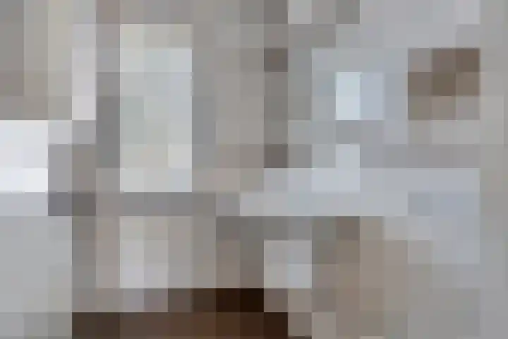 Javalaan 3 Zoetermeer thumbnail 16