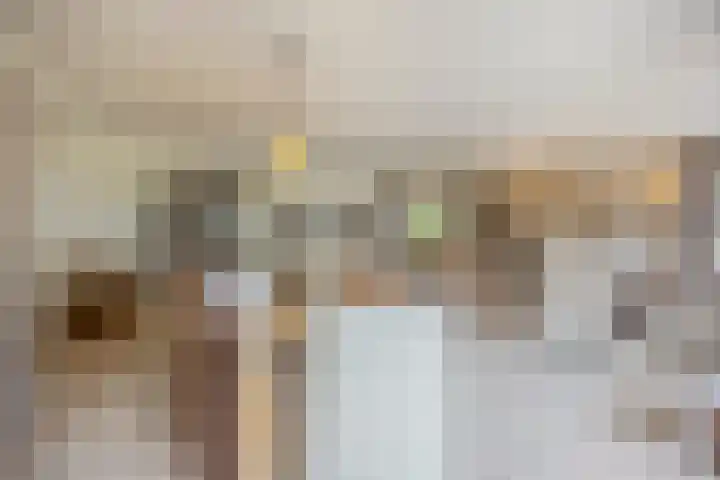 Javalaan 3 Zoetermeer thumbnail 19