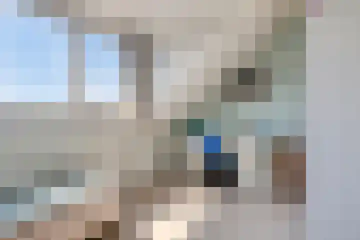 Javalaan 3 Zoetermeer thumbnail 23