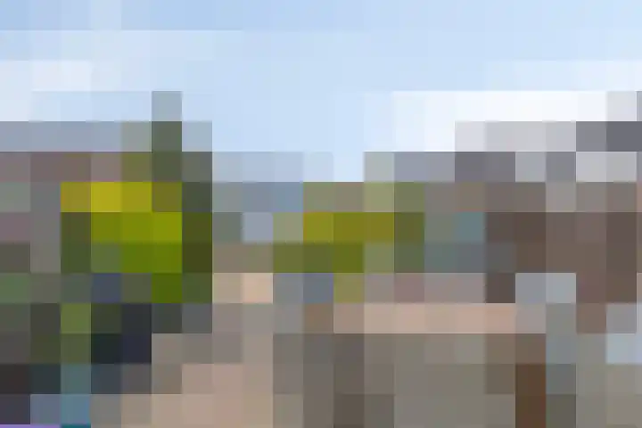 Javalaan 3 Zoetermeer thumbnail 27
